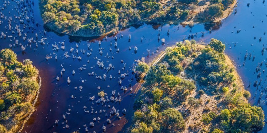 Okavango delta