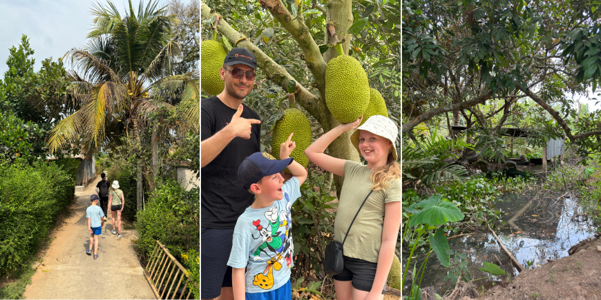 Natuurbelevenissen in de omgeving