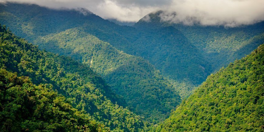 Uitzicht vanaf de tour
