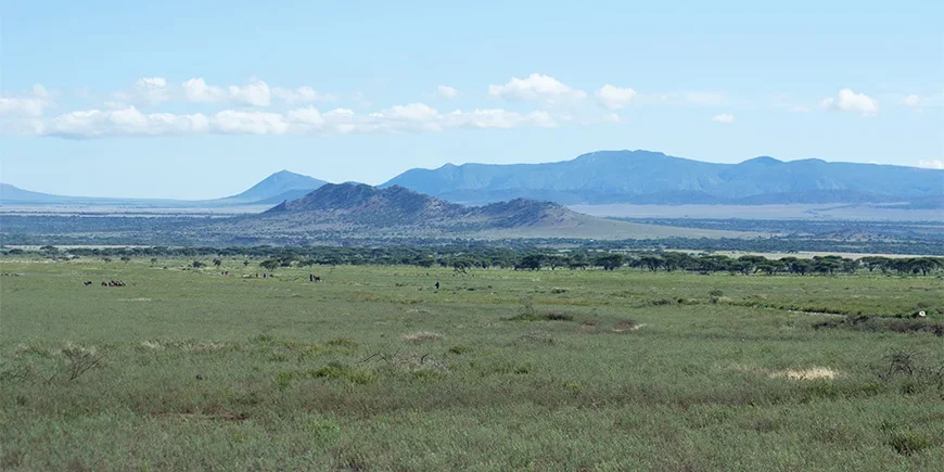 De uitgestrekte vlaktes van de Serengeti