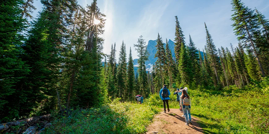 Een groep mensen wandelt in een bos in Canada