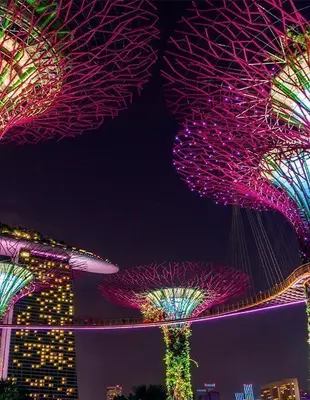 Supertree in Singapore ‘s nachts