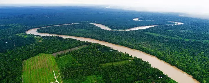 Uitzicht op de Kinabatangan rivier in Borneo