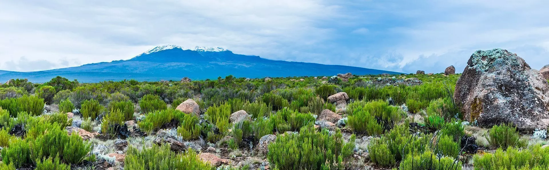 Uitzicht vanaf de Lemosho-route naar de Kilimanjaro
